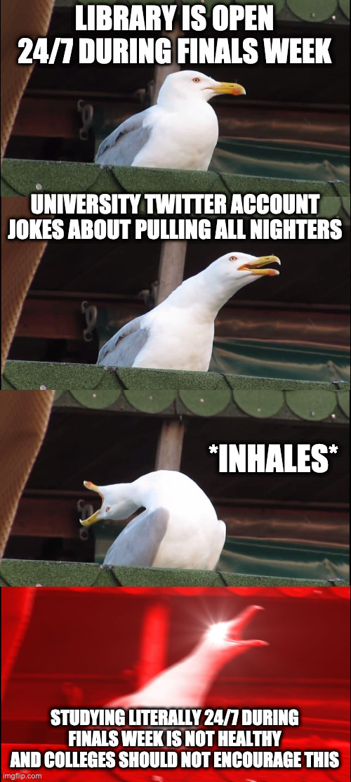 A meme that a student created. The meme is from a popular meme-format which shows across four pictures a seagull preparing to scream, which it does in the final of the four pictures. In the first picture, the student added the text &ldquo;Library is open 24/7 during finals week.&rdquo; In the second picture, the student added the text &ldquo;University Twitter account jokes about pulling all nighters.&rdquo; In the third picture, the student added the text &ldquo;Inhales.&rdquo; In the fourth picture that has the seagull screaming, the student added the text &ldquo;Studying literally 24/7 during finals week is not healthy and colleges should not encourage this.&rdquo;
